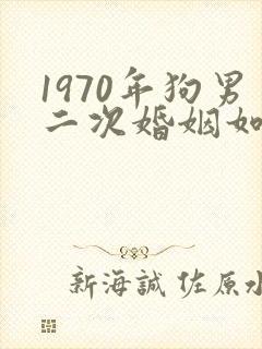 1970年狗男二次婚姻如何