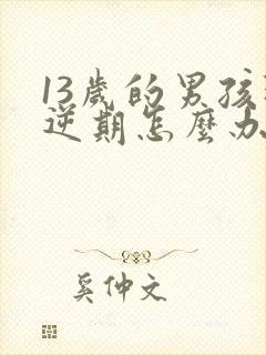 13岁的男孩叛逆期怎么办