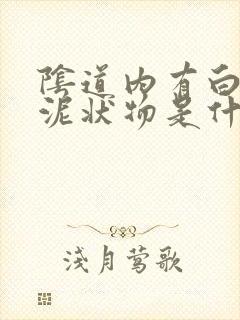 阴道内有白色的泥状物是什么