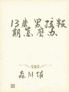 13岁男孩叛逆期怎么办