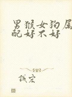 男猴女狗属相婚配好不好
