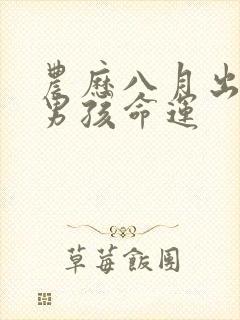 农历八月出生的男孩命运