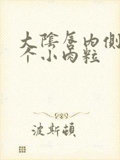 大阴唇内侧长了个小肉粒