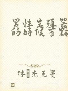 男性生殖器勃起的时候有点弯曲