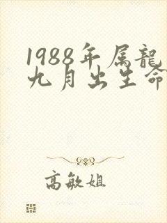 1988年属龙九月出生命运如何