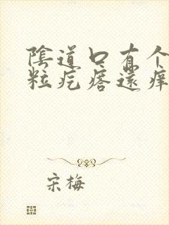 阴道口有个小米粒疙瘩还痒