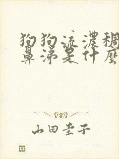 狗狗流浓稠的黄鼻涕是什么原因封面