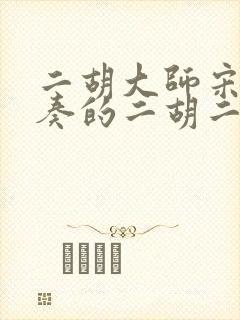 二胡大师宋飞演奏的二胡二泉映月