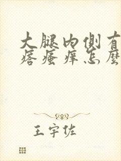 大腿内侧有红疙瘩瘙痒怎么回事