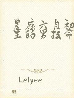 农历六月初四出生的男孩命运封面