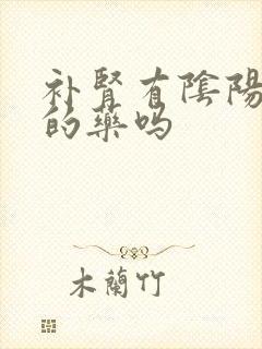 补肾有阴阳双补的药吗