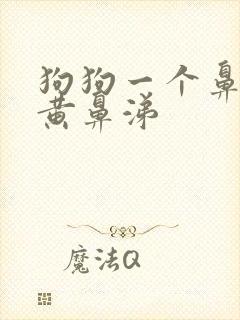 狗狗一个鼻孔流黄鼻涕