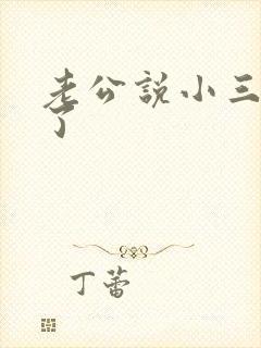 老公说小三怀孕了