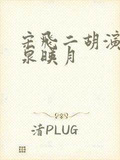 宋飞二胡演奏二泉映月