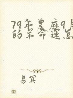 79年农历9月的羊命运怎样