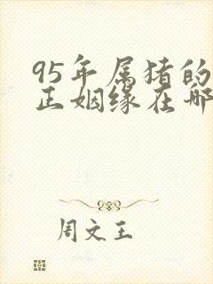 95年属猪的真正姻缘在哪一年