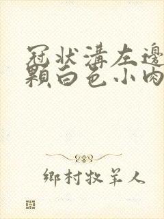 冠状沟左边长几颗白色小肉粒