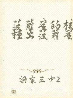 菠萝蜜的核可以种出菠萝蜜吗封面