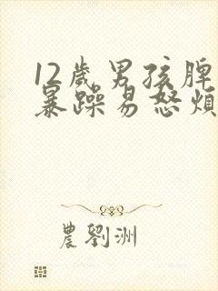 12岁男孩脾气暴躁易怒烦躁怎么治