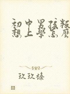 初中男孩叛逆不想上学怎么办封面