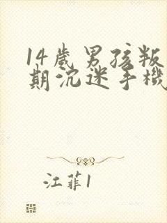 14岁男孩叛逆期沉迷手机怎么管教