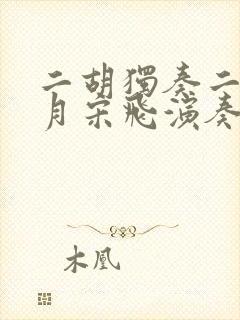 二胡独奏二泉映月宋飞演奏