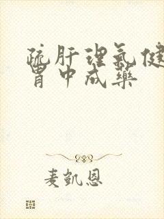 疏肝理气健脾和胃中成药