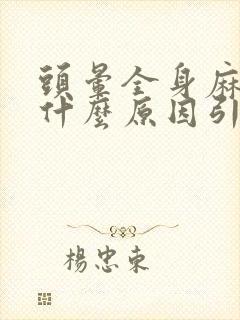 头晕全身麻木是什么原因引起的