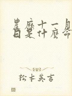 农历十一月二十日是什么命封面