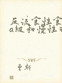 反流食性食管炎a级和慢性非萎缩性胃炎