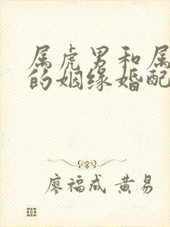 属虎男和属蛇女的姻缘婚配封面