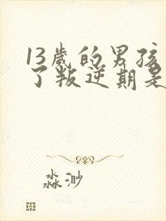 13岁的男孩到了叛逆期是怎么教封面