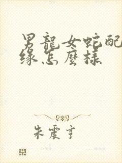 男龙女蛇配的姻缘怎么样