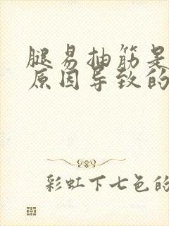 腿易抽筋是什么原因导致的