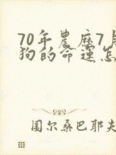 70年农历7月狗的命运怎么样