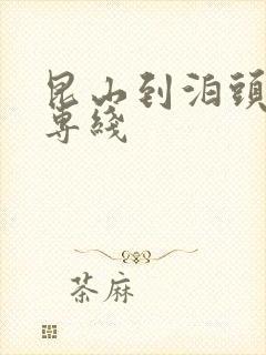 昆山到泊头物流专线