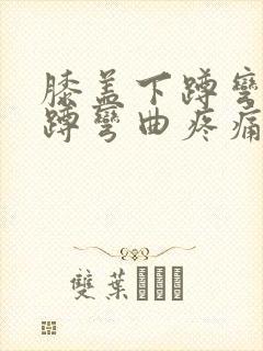 膝盖下蹲弯曲下蹲弯曲疼痛