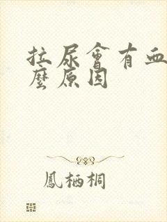 拉尿会有血是什么原因