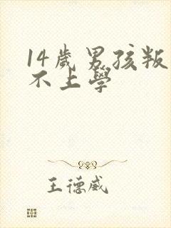 14岁男孩叛逆不上学