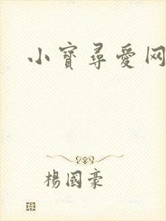小宝寻爱网