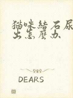 猫咪结石尿拉不出怎么办