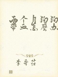 两个月狗狗拉稀带血怎么办