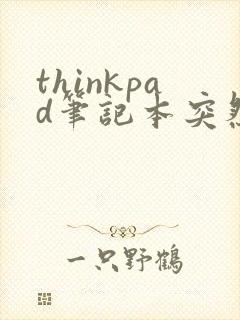 thinkpad笔记本突然黑屏但没有关机