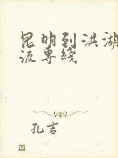 昆明到洪湖的物流专线