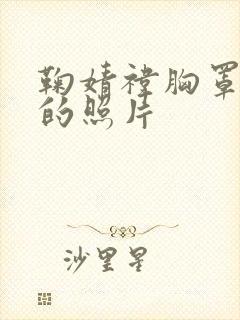 鞠婧祎胸罩内裤的照片