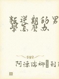 叛逆期的男孩厌学怎么办