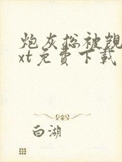 炮灰总被觊觎txt免费下载