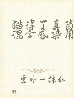 猫得了真菌螨虫混合感染用什么药