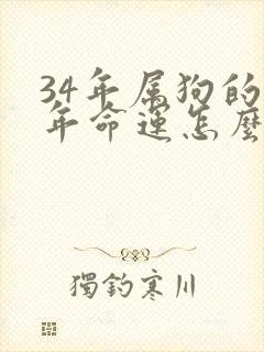 34年属狗的今年命运怎么样?