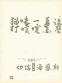 猫咪一直流鼻涕打喷嚏怎么回事